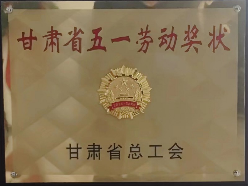 蘭州電視臺《金城先鋒》:甘肅機械化建設工程有限公司蘭州中川國際機場三期擴建工程項目經理部